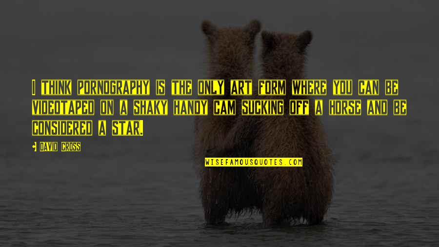 Handy Quotes By David Cross: I think pornography is the only art form Handy Quotes By David Cross: I think pornography is the only art form