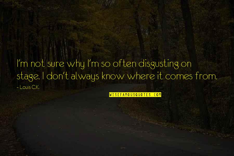 Handyman Free Quotes By Louis C.K.: I'm not sure why I'm so often disgusting Handyman Free Quotes By Louis C.K.: I'm not sure why I'm so often disgusting