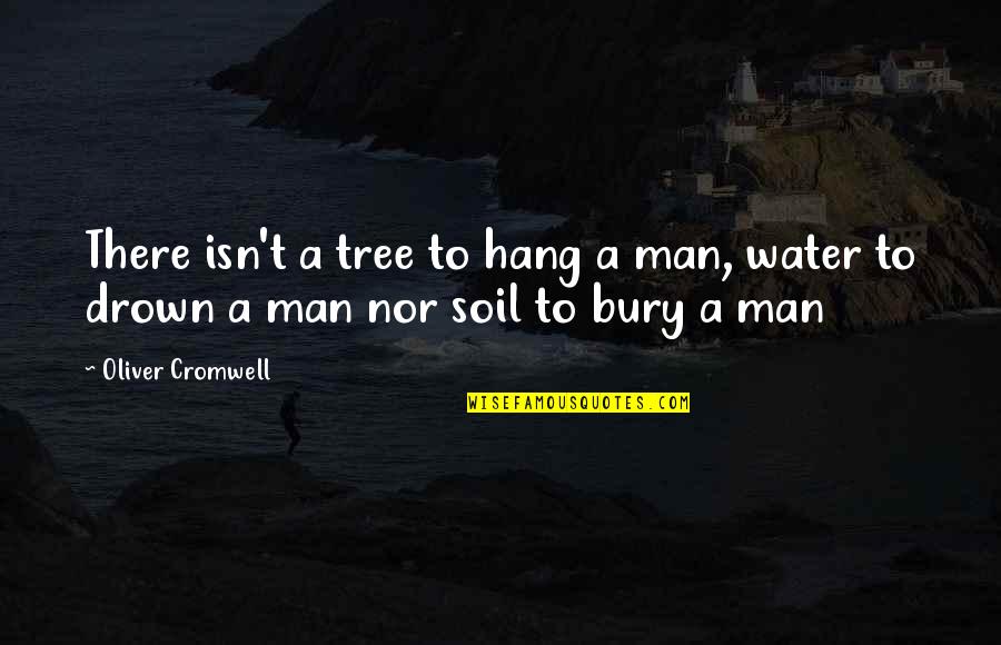 Hang Man Quotes By Oliver Cromwell: There isn't a tree to hang a man,