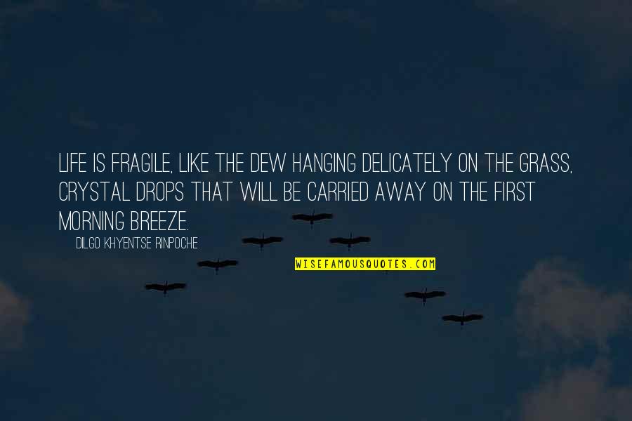 Hanging Onto Life Quotes By Dilgo Khyentse Rinpoche: Life is fragile, like the dew hanging delicately