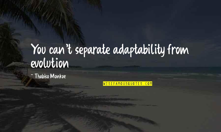 Hangnails Quotes By Thabiso Monkoe: You can't separate adaptability from evolution