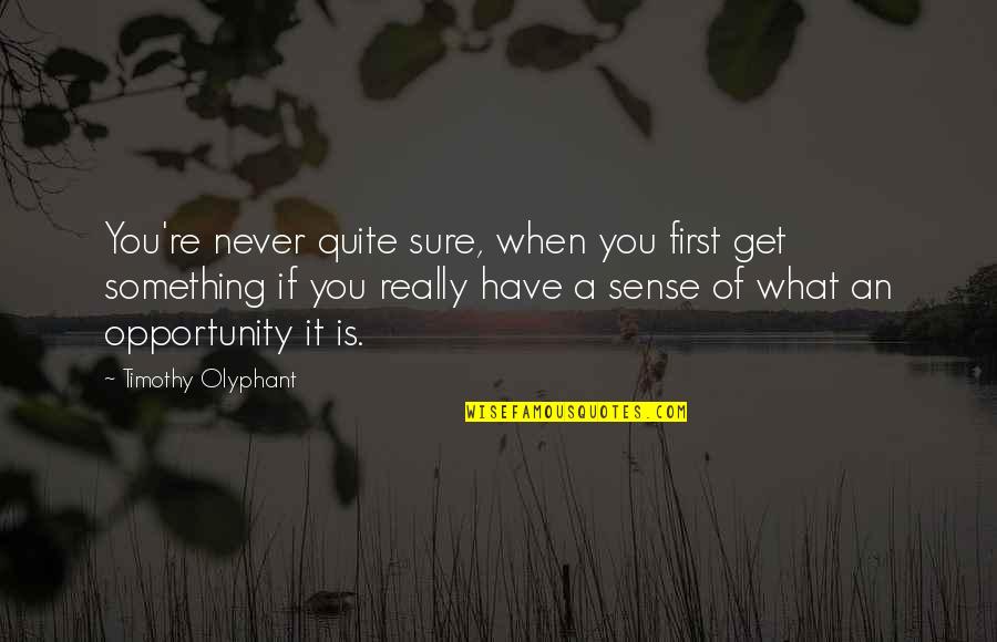 Hanhchampion Quotes By Timothy Olyphant: You're never quite sure, when you first get