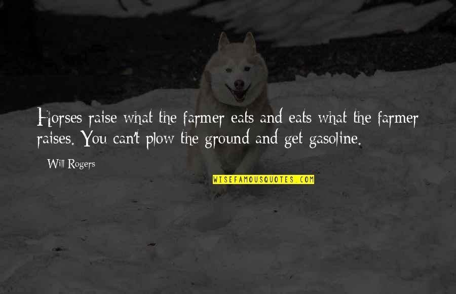 Hanika 54pc Quotes By Will Rogers: Horses raise what the farmer eats and eats Hanika 54pc Quotes By Will Rogers: Horses raise what the farmer eats and eats