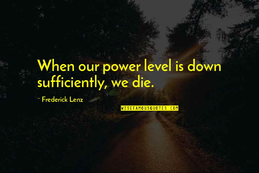 Hank Flick Quotes By Frederick Lenz: When our power level is down sufficiently, we Hank Flick Quotes By Frederick Lenz: When our power level is down sufficiently, we