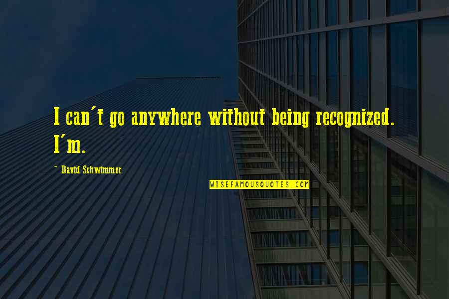Hank Karen Californication Quotes By David Schwimmer: I can't go anywhere without being recognized. I'm. Hank Karen Californication Quotes By David Schwimmer: I can't go anywhere without being recognized. I'm.