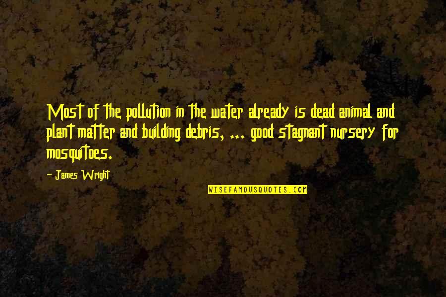 Hank Williams Jr Famous Quotes By James Wright: Most of the pollution in the water already