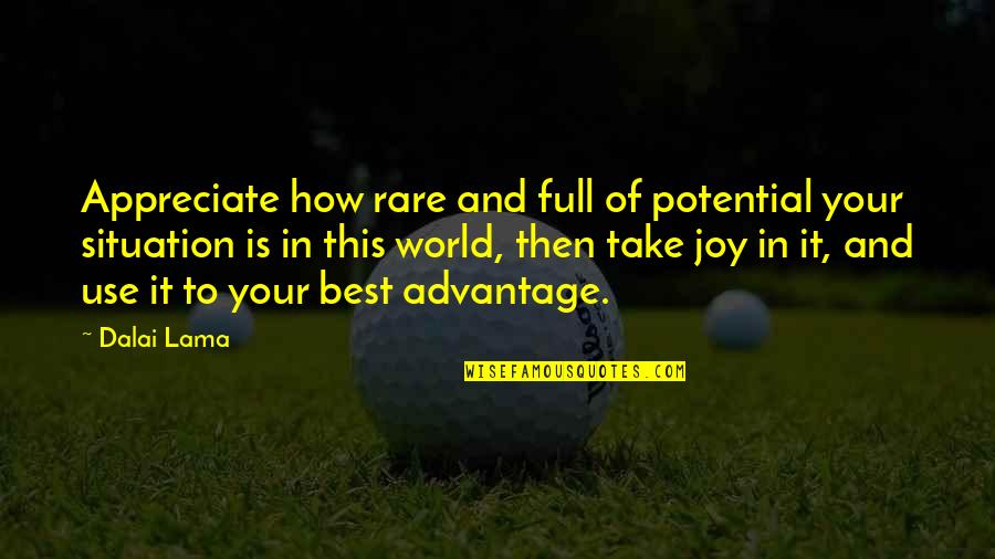 Hannah Howell Quotes By Dalai Lama: Appreciate how rare and full of potential your Hannah Howell Quotes By Dalai Lama: Appreciate how rare and full of potential your