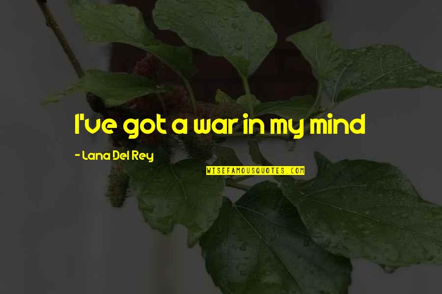 Hannetjie Van Quotes By Lana Del Rey: I've got a war in my mind Hannetjie Van Quotes By Lana Del Rey: I've got a war in my mind