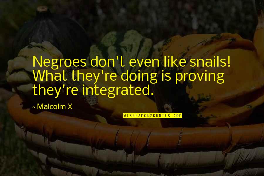 Hannibal Commander Quotes By Malcolm X: Negroes don't even like snails! What they're doing