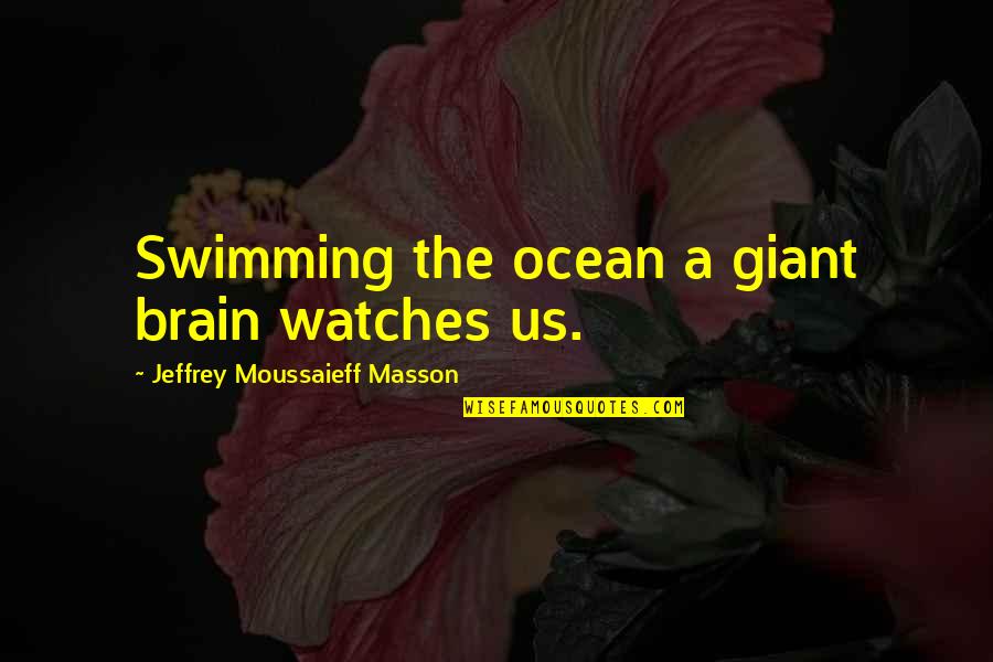 Hannibal Releves Quotes By Jeffrey Moussaieff Masson: Swimming the ocean a giant brain watches us.