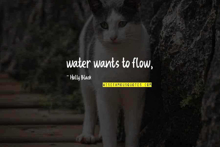 Hans Fast And Furious Quotes By Holly Black: water wants to flow,