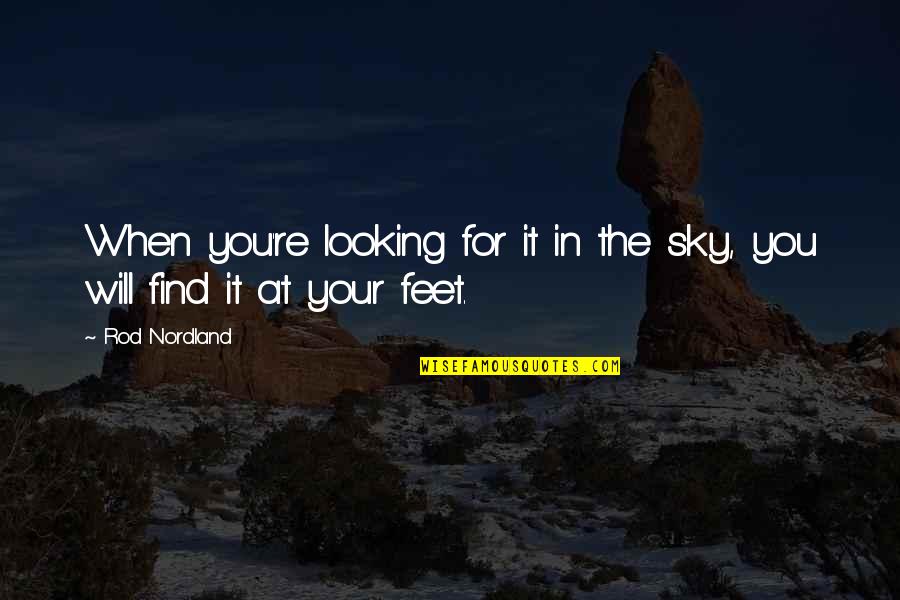 Hans Schemm Quotes By Rod Nordland: When you're looking for it in the sky,