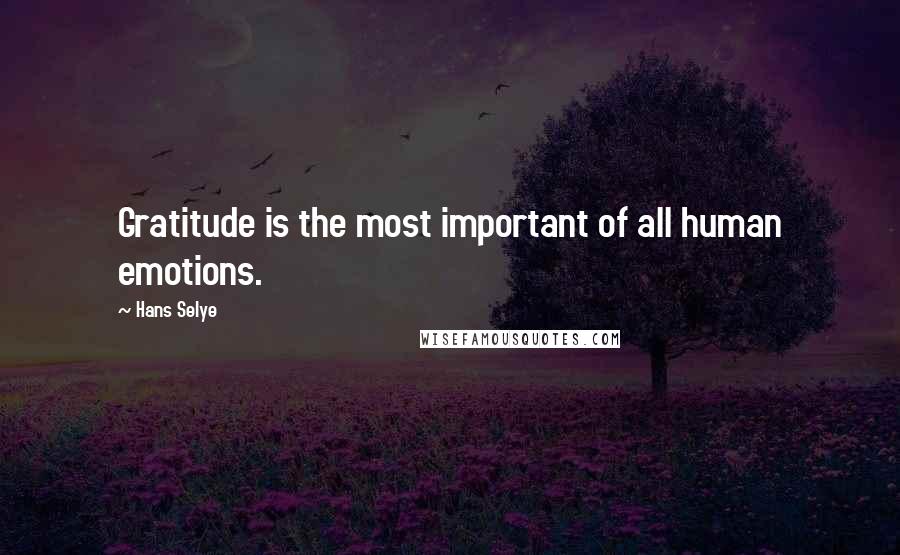 Hans Selye quotes: Gratitude is the most important of all human emotions.