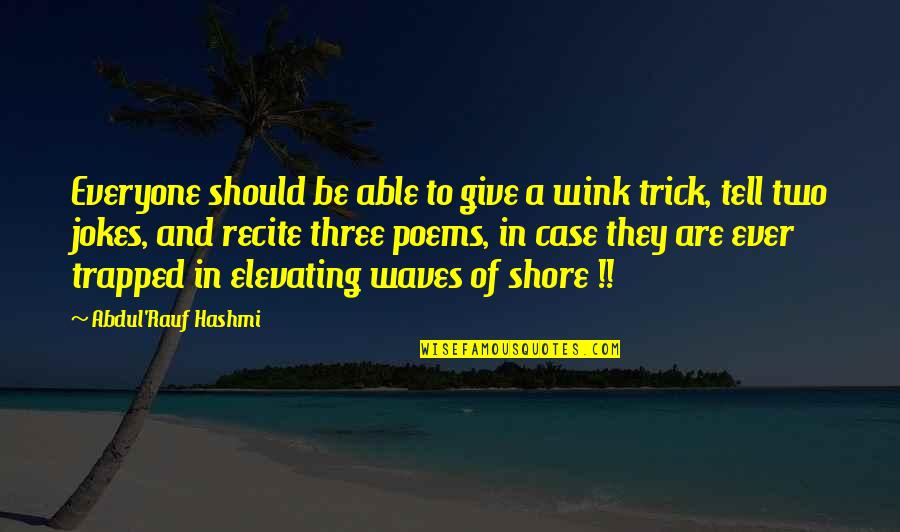 Hans Stuck Quotes By Abdul'Rauf Hashmi: Everyone should be able to give a wink