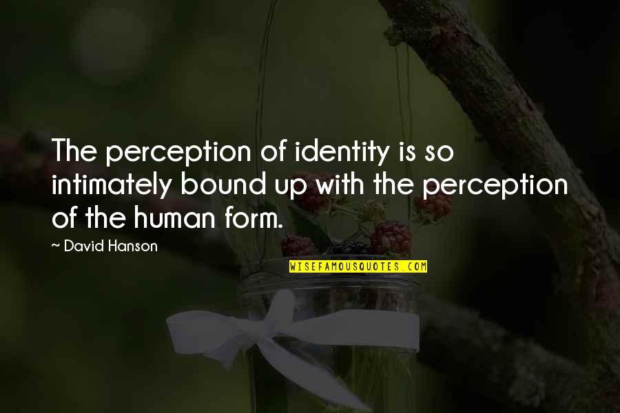 Hanson's Quotes By David Hanson: The perception of identity is so intimately bound