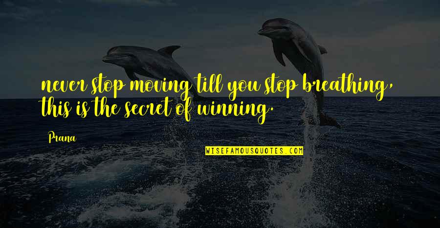 Hanthorn Early Education Quotes By Prana: never stop moving till you stop breathing, this
