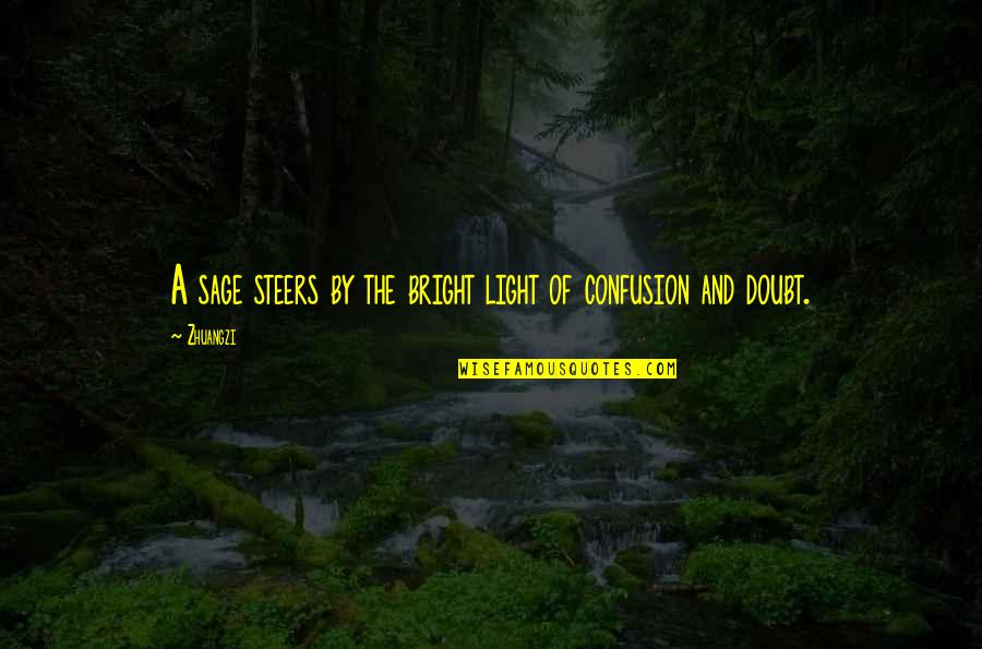 Hantler Quotes By Zhuangzi: A sage steers by the bright light of