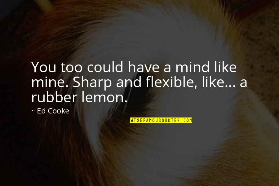 Hanukah Quotes By Ed Cooke: You too could have a mind like mine.