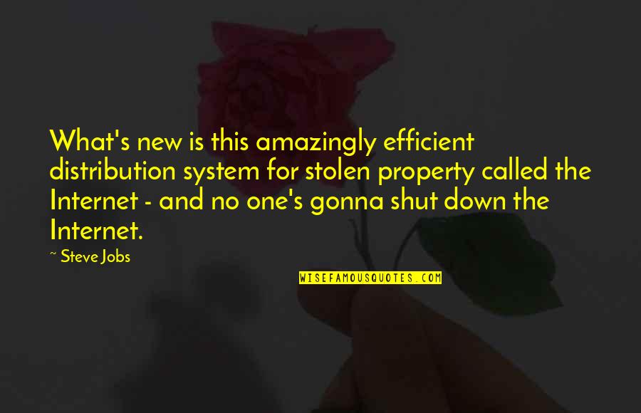 Hanukkah Holiday Quotes By Steve Jobs: What's new is this amazingly efficient distribution system Hanukkah Holiday Quotes By Steve Jobs: What's new is this amazingly efficient distribution system