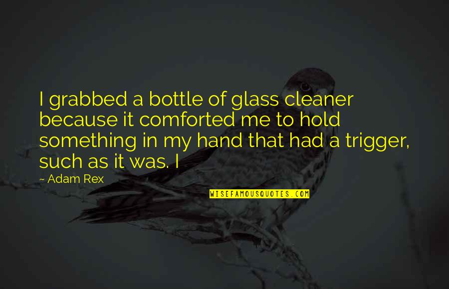 Hanushek Critique Quotes By Adam Rex: I grabbed a bottle of glass cleaner because