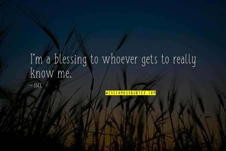 Hanzi Quotes By DMX: I'm a blessing to whoever gets to really