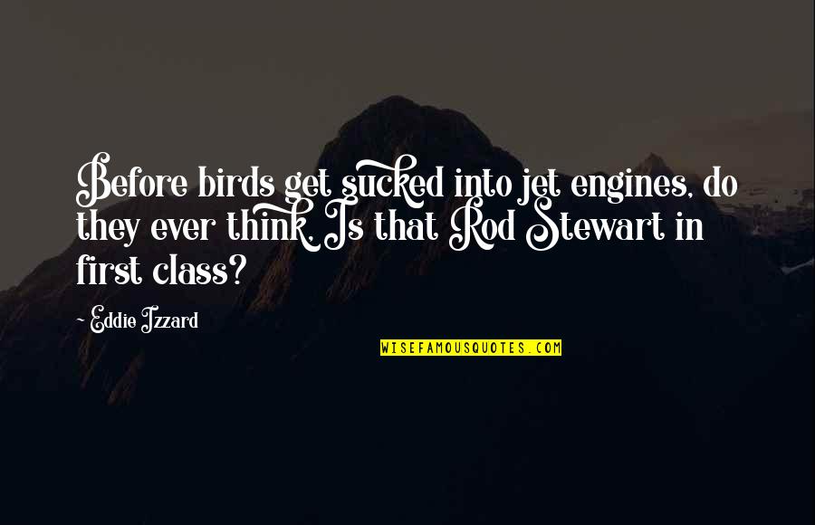 Hanzo Hasashi Quotes By Eddie Izzard: Before birds get sucked into jet engines, do