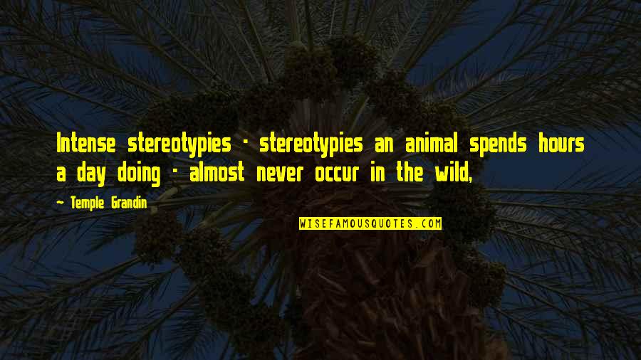 Haori Kimono Quotes By Temple Grandin: Intense stereotypies - stereotypies an animal spends hours