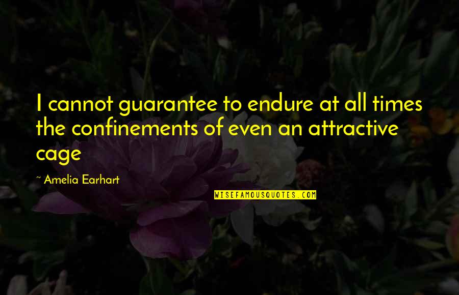Haploid Quotes By Amelia Earhart: I cannot guarantee to endure at all times Haploid Quotes By Amelia Earhart: I cannot guarantee to endure at all times
