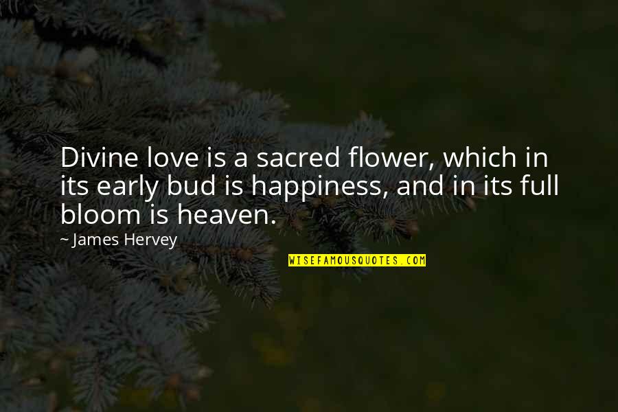 Happiness And Its Quotes By James Hervey: Divine love is a sacred flower, which in