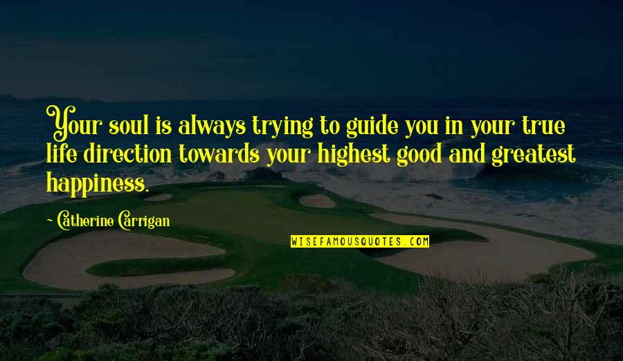 Happiness And Life Is Good Quotes By Catherine Carrigan: Your soul is always trying to guide you
