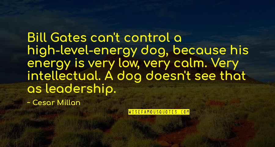 Happiness And The Beach Quotes By Cesar Millan: Bill Gates can't control a high-level-energy dog, because