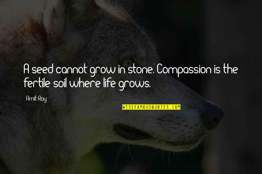Happiness Grows Quotes By Amit Ray: A seed cannot grow in stone. Compassion is