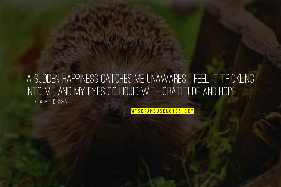 Happiness In My Eyes Quotes By Khaled Hosseini: A sudden happiness catches me unawares. I feel