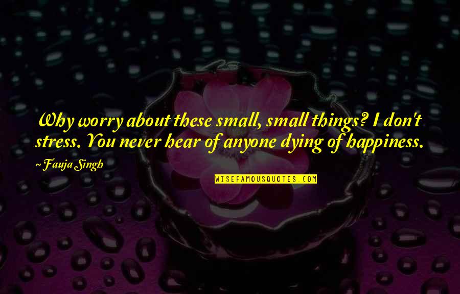 Happiness In Small Things Quotes By Fauja Singh: Why worry about these small, small things? I