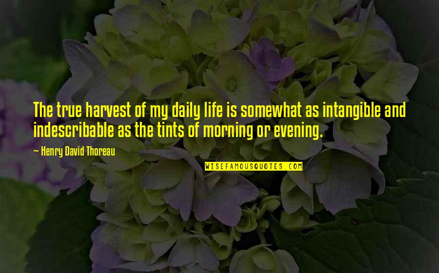 Happiness In The Morning Quotes By Henry David Thoreau: The true harvest of my daily life is
