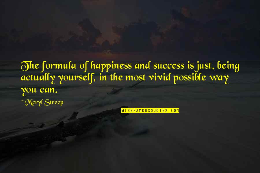 Happiness In You Quotes By Meryl Streep: The formula of happiness and success is just,