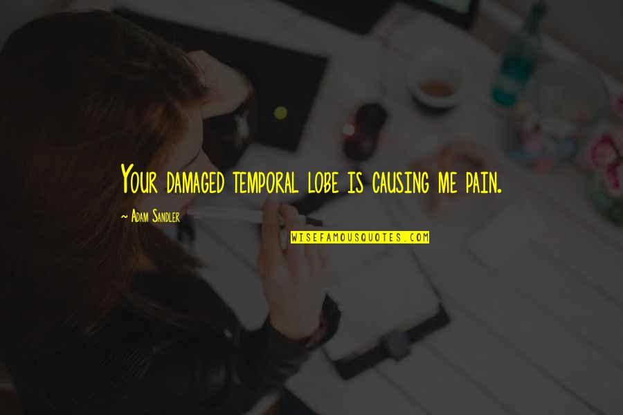 Happiness Into The Wild Quotes By Adam Sandler: Your damaged temporal lobe is causing me pain. Happiness Into The Wild Quotes By Adam Sandler: Your damaged temporal lobe is causing me pain.
