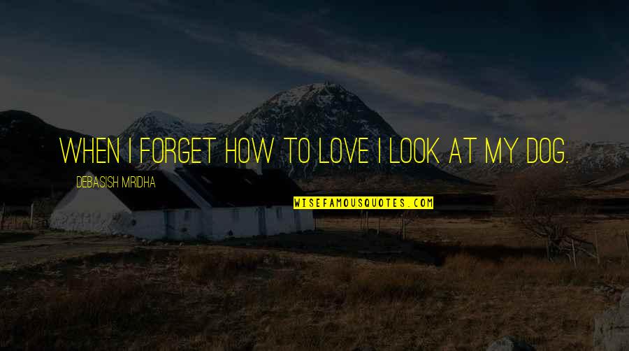 Happiness Is A Dog Quotes By Debasish Mridha: When I forget how to love I look