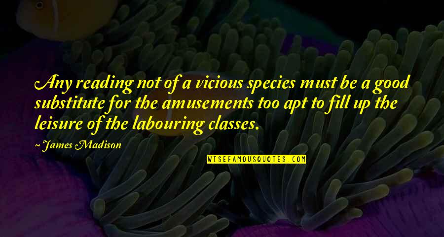 Happiness Is Something You Create Quotes By James Madison: Any reading not of a vicious species must