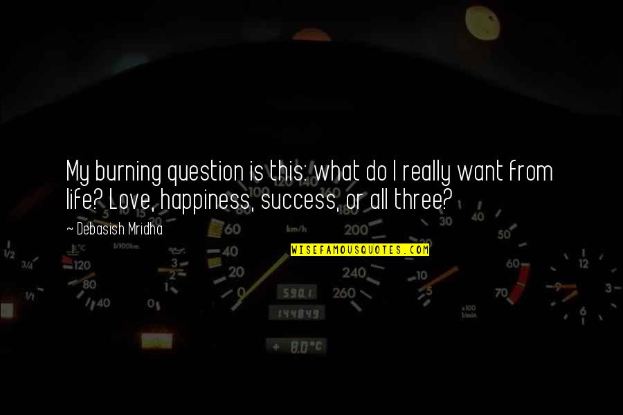 Happiness Is Success Quotes By Debasish Mridha: My burning question is this: what do I