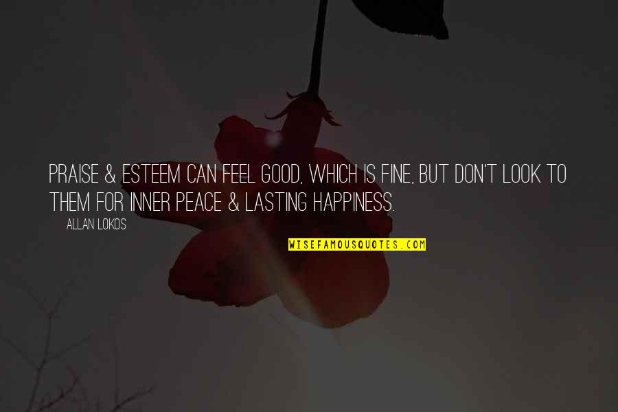 Happiness Not Lasting Quotes By Allan Lokos: Praise & esteem can feel good, which is