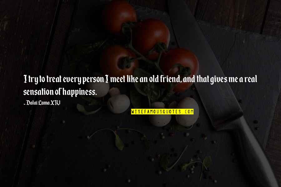 Happiness With Your Best Friend Quotes By Dalai Lama XIV: I try to treat every person I meet