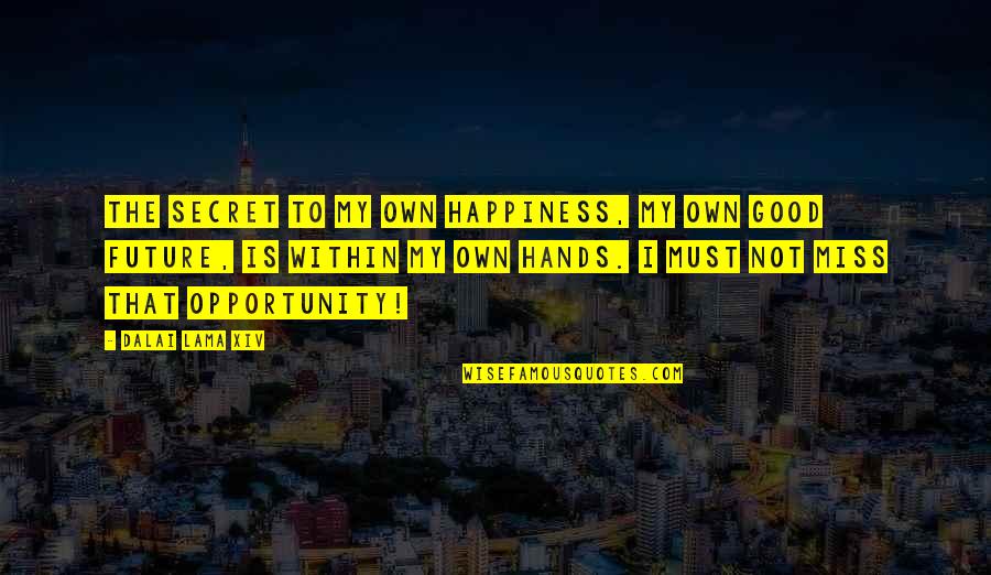 Happiness Within Quotes By Dalai Lama XIV: The secret to my own happiness, my own Happiness Within Quotes By Dalai Lama XIV: The secret to my own happiness, my own