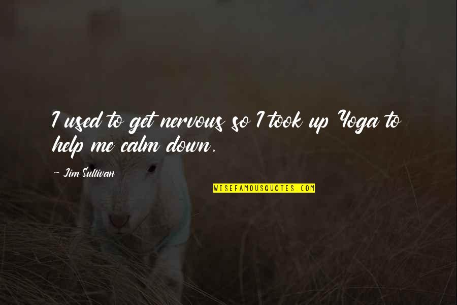 Happinesses And Purpose Quotes By Jim Sullivan: I used to get nervous so I took