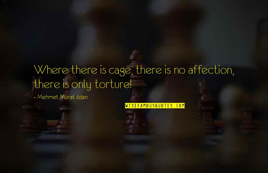 Happy 49 Birthday Quotes By Mehmet Murat Ildan: Where there is cage, there is no affection,