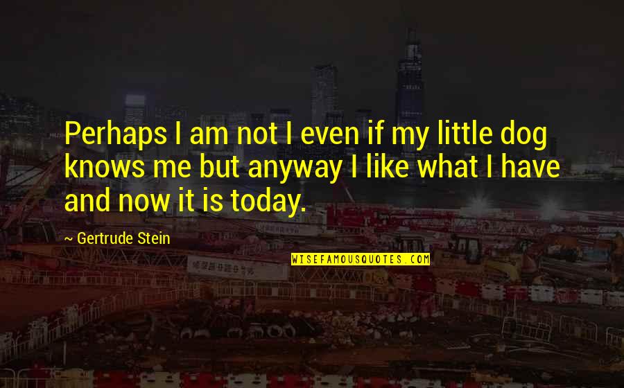 Happy Bday Best Quotes By Gertrude Stein: Perhaps I am not I even if my Happy Bday Best Quotes By Gertrude Stein: Perhaps I am not I even if my