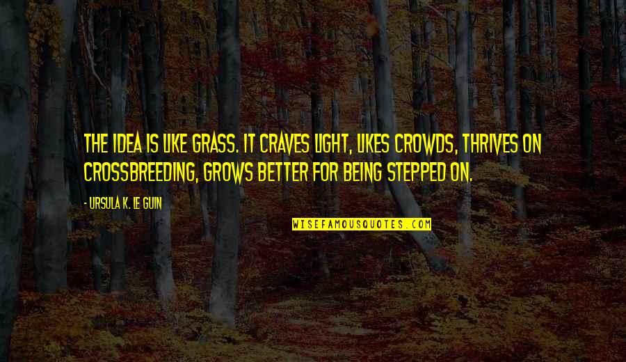 Happy Being Single Mom Quotes By Ursula K. Le Guin: The idea is like grass. It craves light,