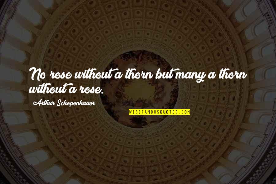 Happy Birthday Janice Quotes By Arthur Schopenhauer: No rose without a thorn but many a Happy Birthday Janice Quotes By Arthur Schopenhauer: No rose without a thorn but many a
