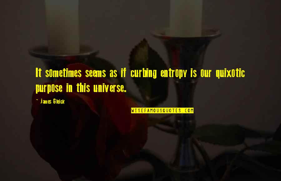 Happy Birthday Priest Quotes By James Gleick: It sometimes seems as if curbing entropy is