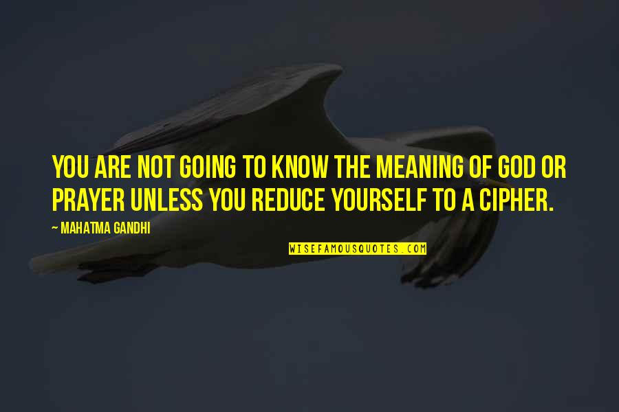 Happy Birthday To My Colleagues Quotes By Mahatma Gandhi: You are not going to know the meaning